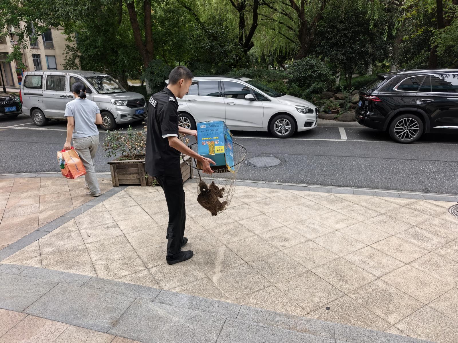 配图2